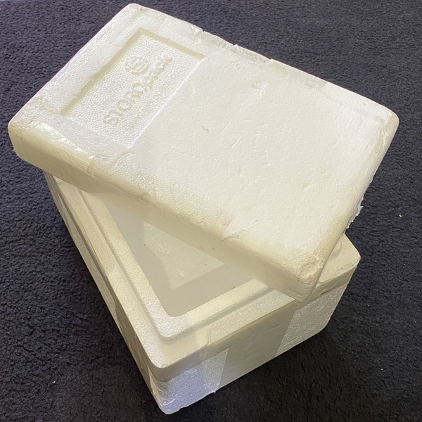 Styroporbox / Thermobox Wei circa 7L (33x22x22cm) - Gebraucht
