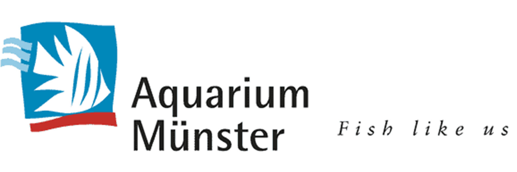  Aquarium M&uuml;nster &ndash; Fish...