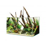 Aquarien