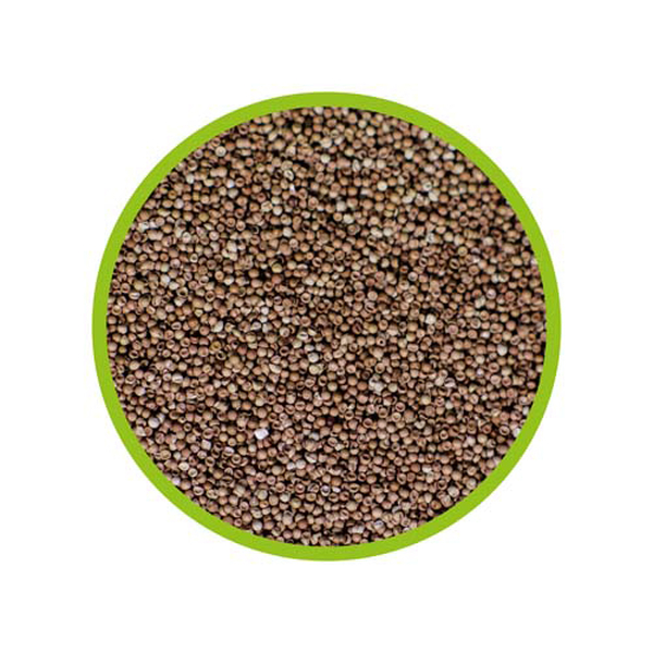 Hobby Artemia Eier 20ml
