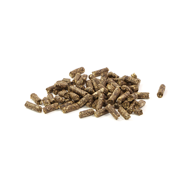 GlasGarten Humin Sticks - Care Food - 30g