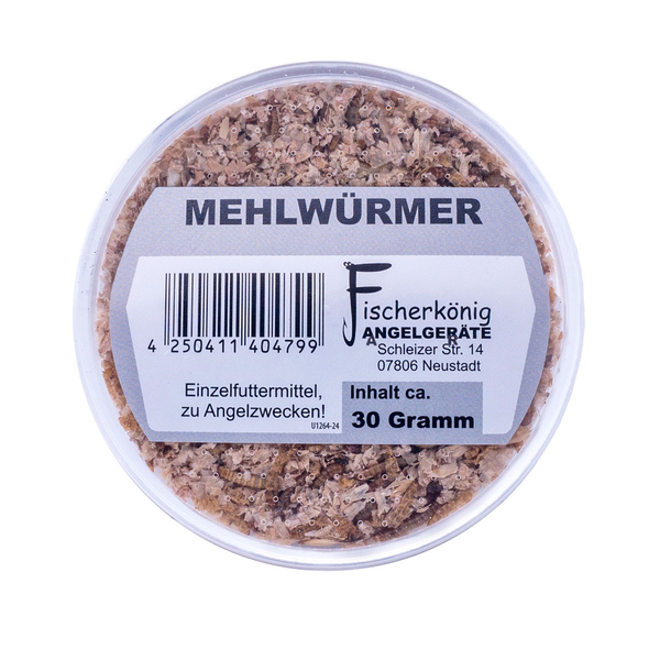 Mehlw�rmer Dose 30g - Tenebrio molitor sofort verf�gbar