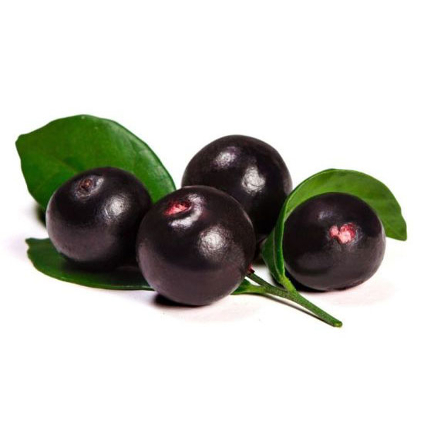 Dr. Bassleer Biofish Food Acai M 150g