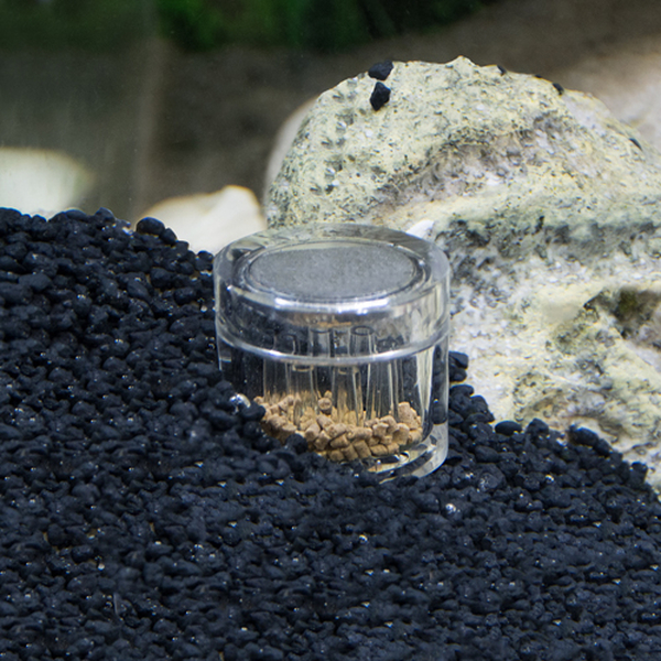 Hobby Planaria X  Special Bait - Planarienkder