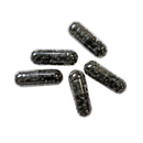 Hobby Planaria X  Special Bait - Planarienk�der