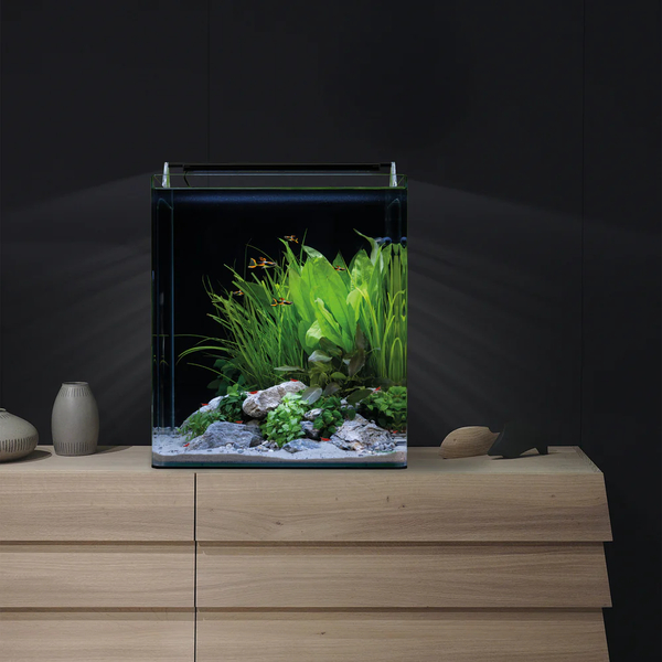 Dennerle Nano Cube Complete Set 60L inkl. Daytime LED
