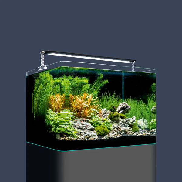 Dennerle Nano Tank Plant Pro - Set