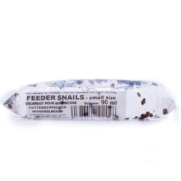 Blasenschnecken 90ml (Lebendfutter)  Sofort verf�gbar
