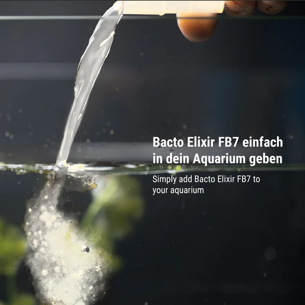 Dennerle Bacto Elixir FB7 - lebende Filterbakterien