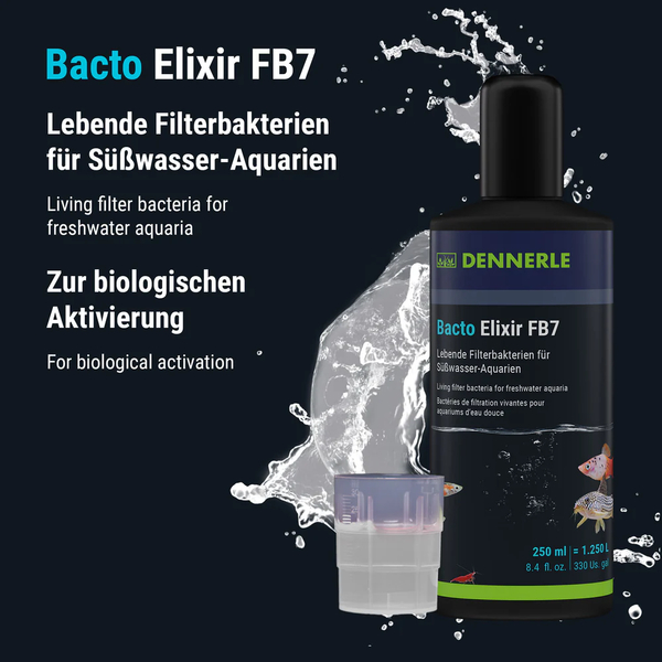Dennerle Bacto Elixir FB7 - lebende Filterbakterien 250ml