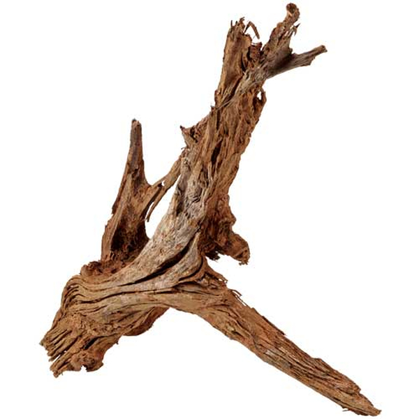 Hobby Mangrovenholz L (35-50cm)