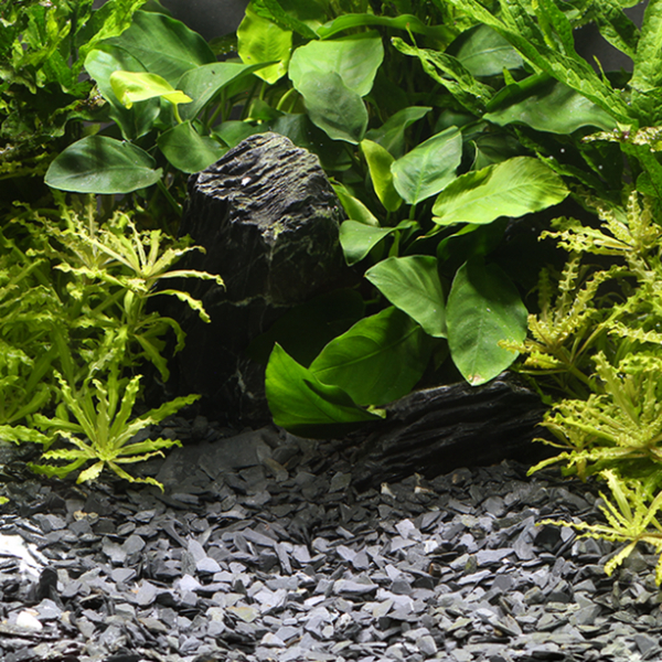 Dennerle Natural Gravel Kongo - Aquarium Kies 3-8mm 500g