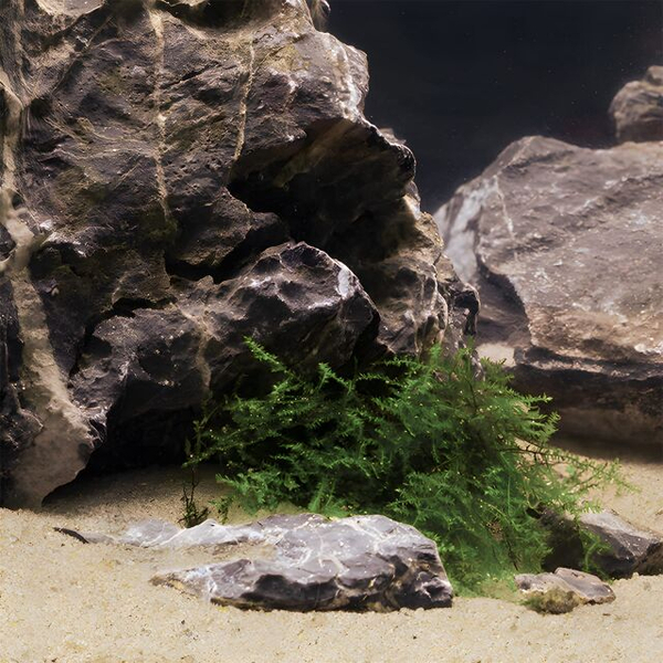 Dennerle Natural Gravel Mekong 0,1-1,4mm Aquarienkies 500g