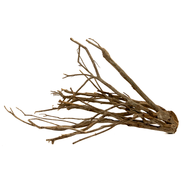 Aquadeco Talawa-Holz