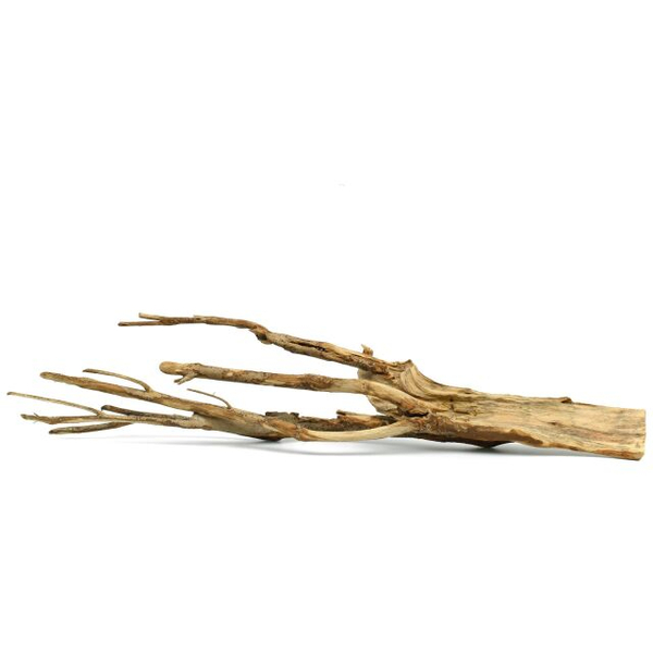 Talawa-Holz M (1 Stk)