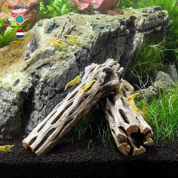 CeramicNature Cholla-Wood 10cm