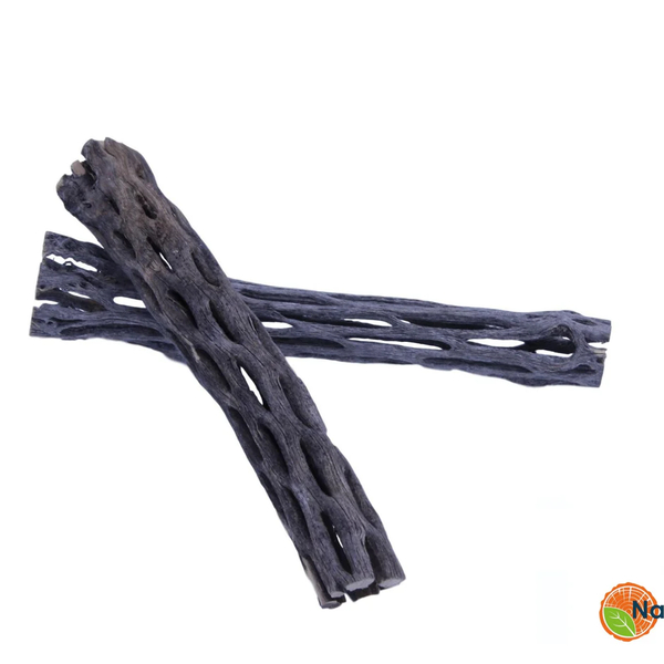 Vuka Holz / Cholla-Wood 7,5cm