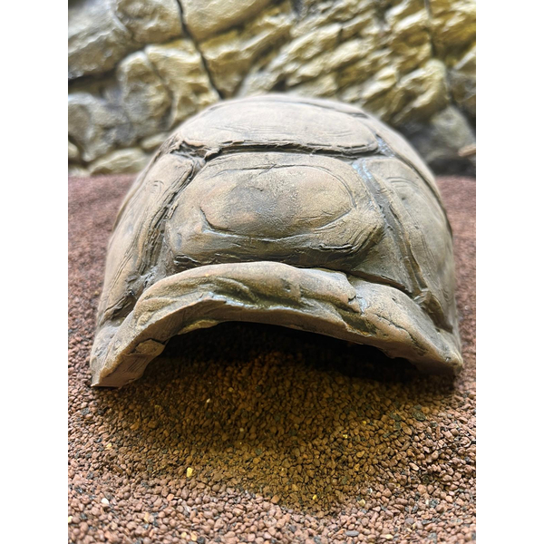 Ceramic Nature Turtle Cave