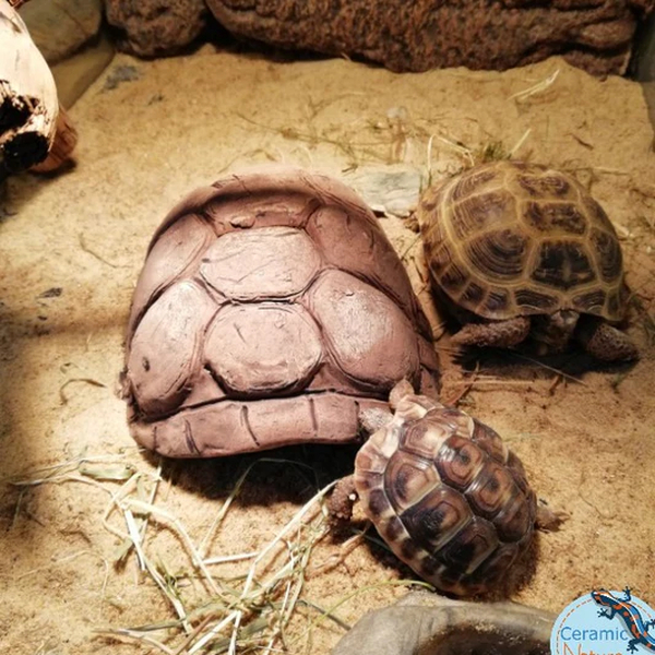 Ceramic Nature Turtle Cave