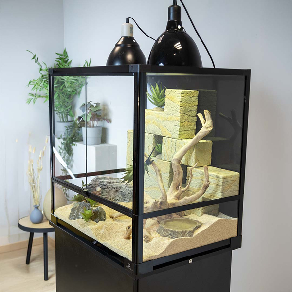 Terra Della Knockdown Terrarium