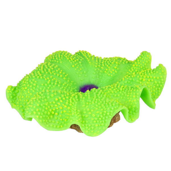 AquaDella Plastikpflanze Anemone Teppich