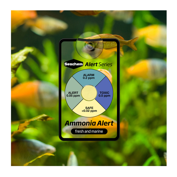 Seachem Ammonia Alert &ndash; Dauertest f�r Ammoniak