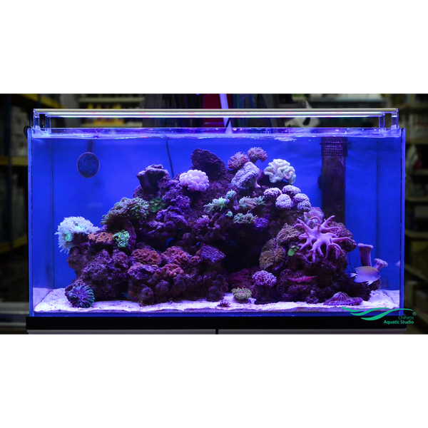 Chihiros A-Serie Marine Aquarium LED Beleuchtung