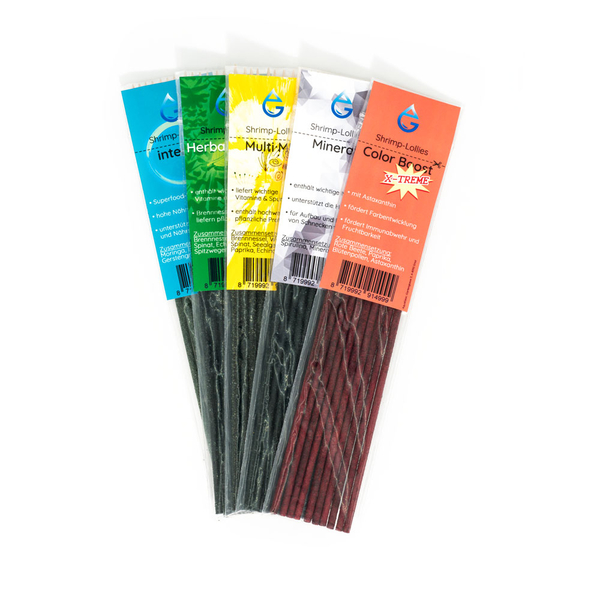 Garnelen Lollie 5er Pack