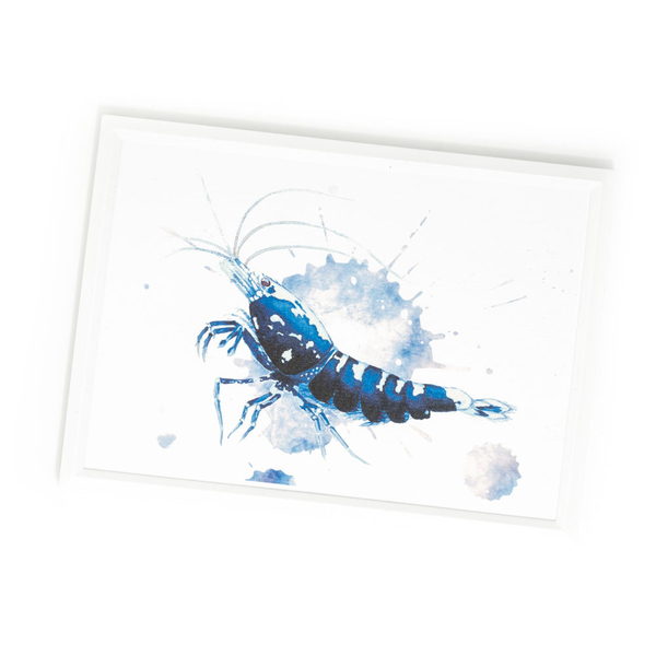 Garnelen Art-Card Galaxy gerahmt 13x18cm