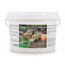 Salty Shrimp &ndash; Bee Shrimp Mineral GH+ 3000g