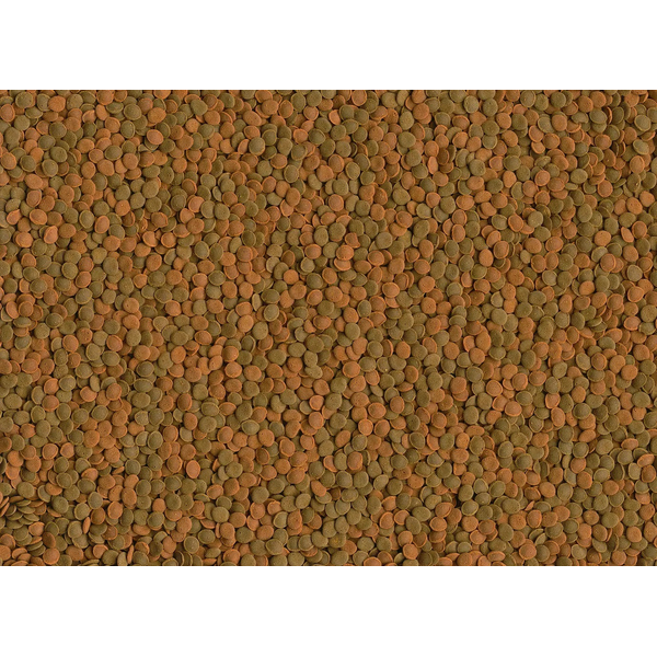 Tetra Wafer Mini Mix fr Bodenfische und Krebstiere 100ml / 52g
