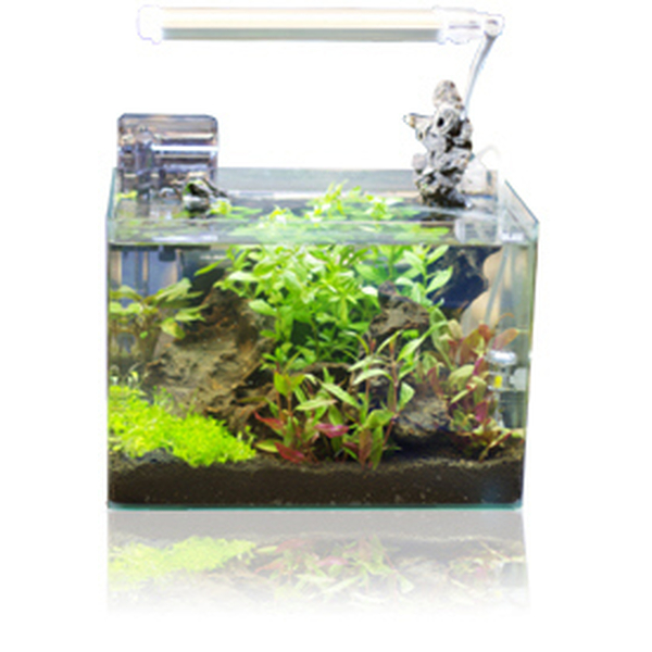 BLAU Cubic Panoramic Aquarium