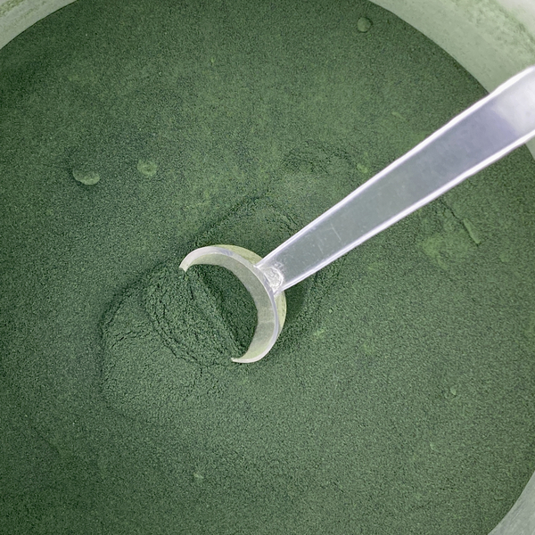 Nannochloropsis Pulver pro Gramm