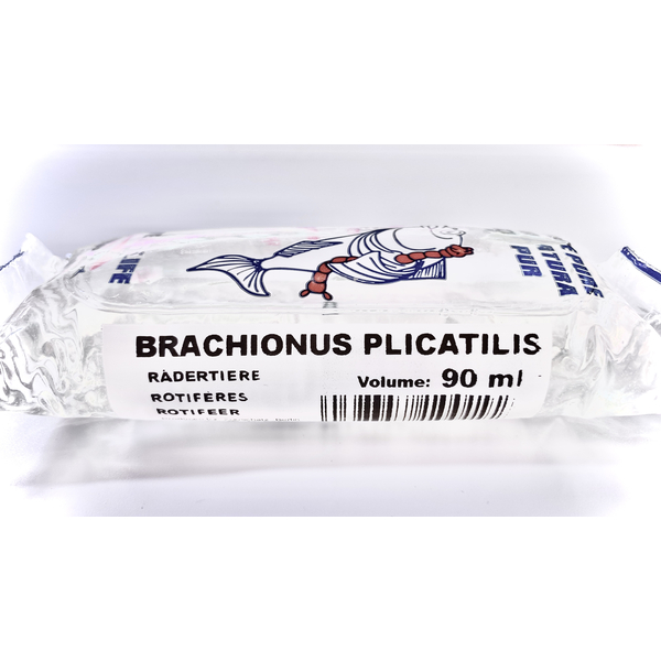 Seewasserrädertierchen 90 ml - Brachionus Plicatilis (Lebendfutter)
