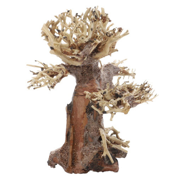 Bonsai, S (20 x 10 x 15cm)