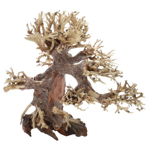 Bonsai, S (20 x 10 x 15cm)