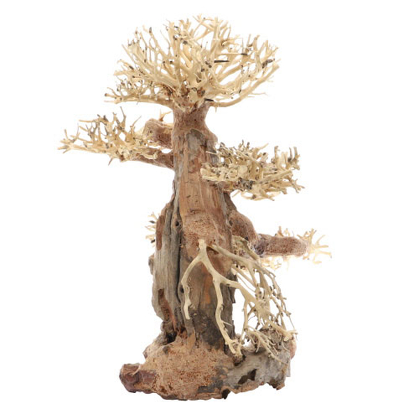 Bonsai, L (40 x 20 x 30cm)