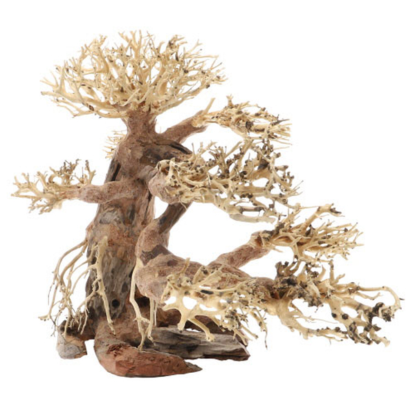 Bonsai, L (40 x 20 x 30cm)