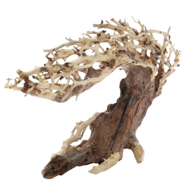 Crooked Root, S (23 x 10 x 17cm)