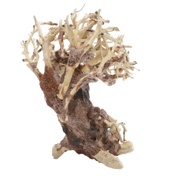 Crooked Root, S (23 x 10 x 17cm)