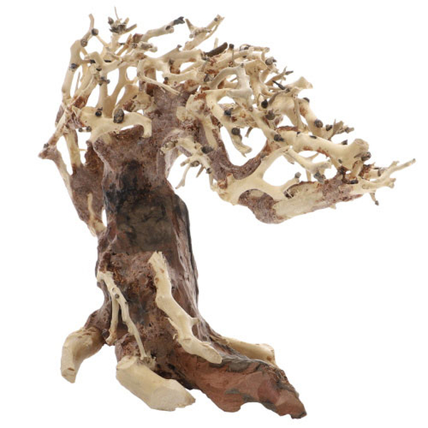 Crooked Root, S (23 x 10 x 17cm)