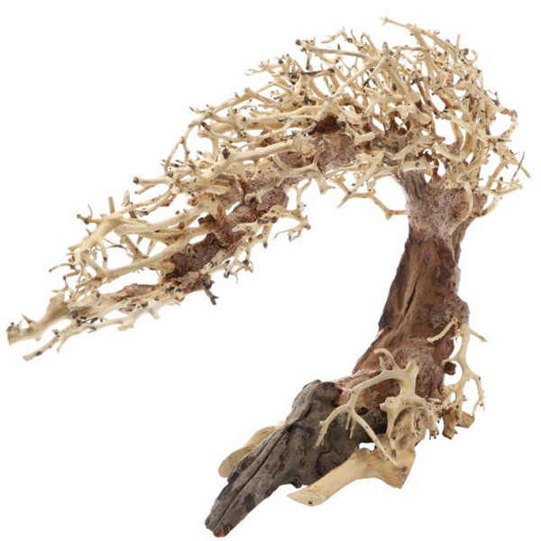 Crooked Root, L (40 x 20 x 30cm)