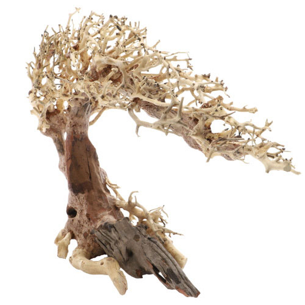 Crooked Root, L (40 x 20 x 30cm)