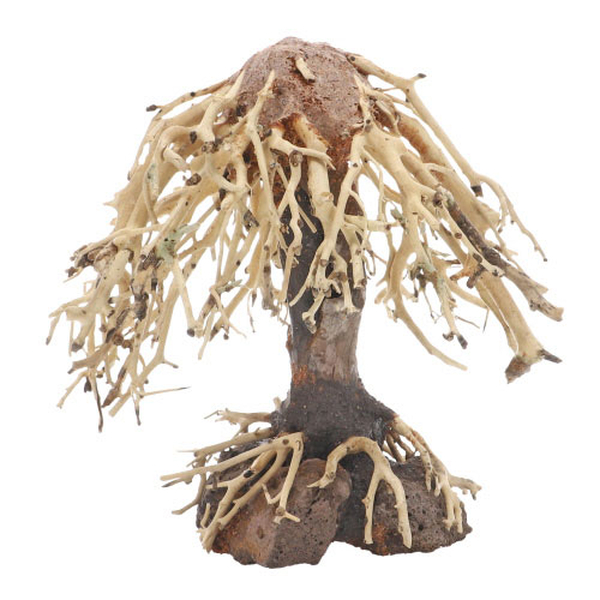 Weeping Willow, S (15x 10 x 16cm)