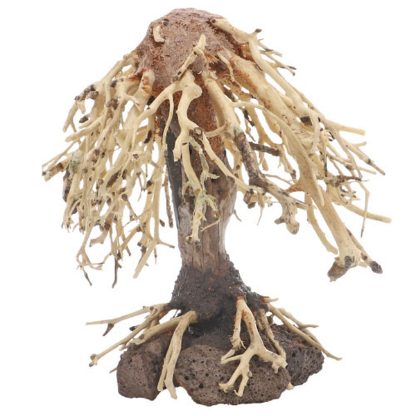 Weeping Willow, S (15x 10 x 16cm)