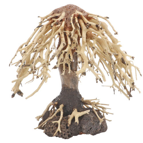 Weeping Willow, S (15x 10 x 16cm)
