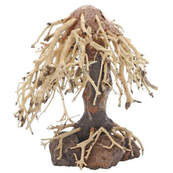 Weeping Willow, S (15x 10 x 16cm)