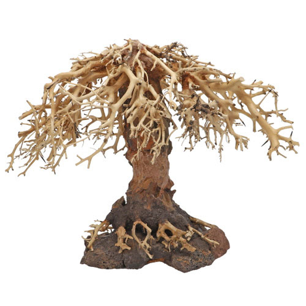 Weeping Willow, L (40 x 20 x 30cm)