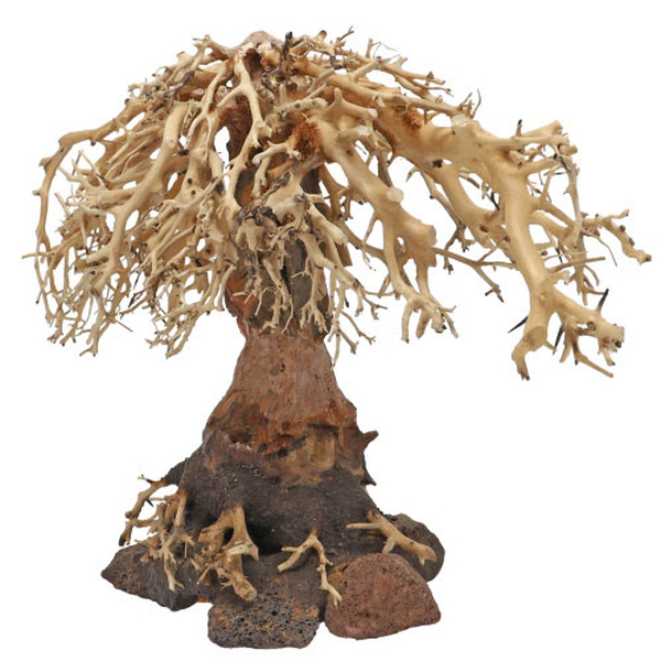 Weeping Willow, L (40 x 20 x 30cm)