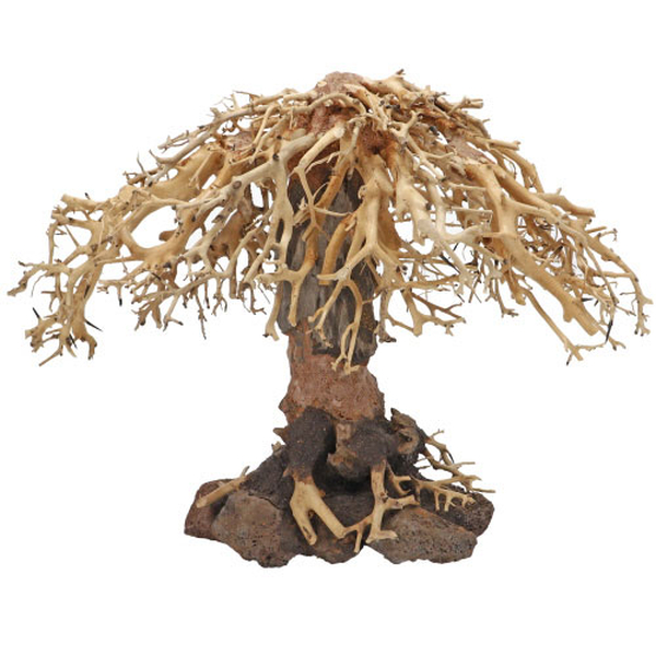 Weeping Willow, L (40 x 20 x 30cm)